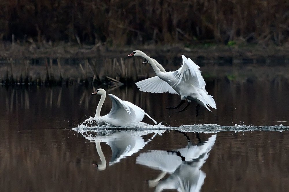Photograph by Вячеслав Ладанов