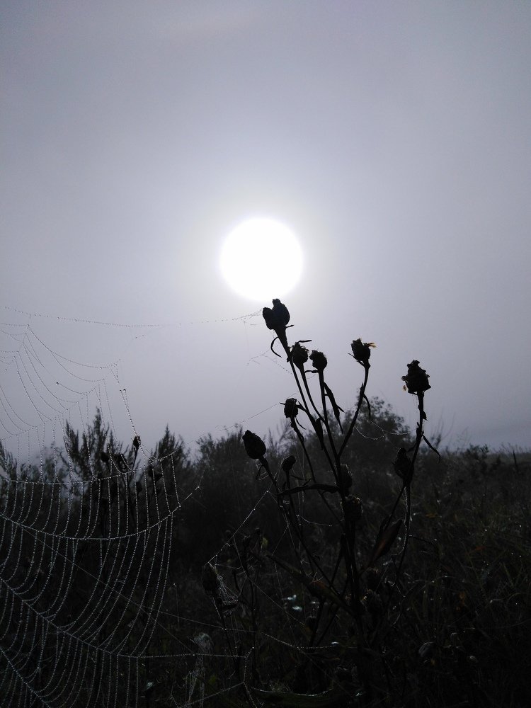 Photo #5343137