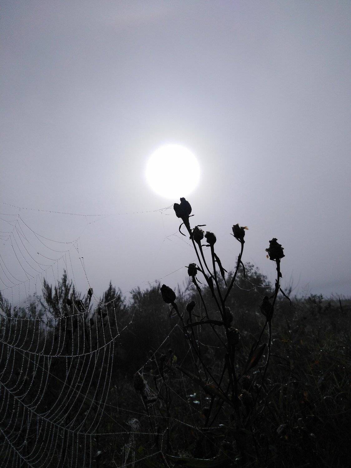 Photo #5343137