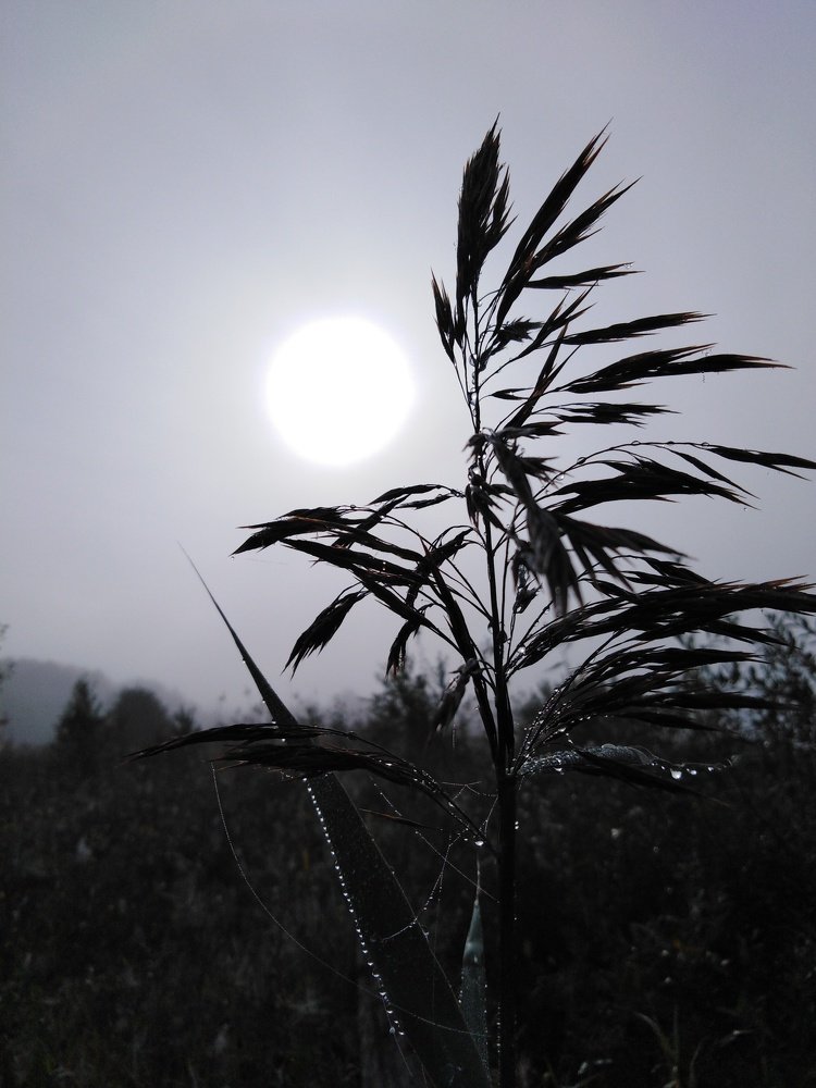 Photo #5343138