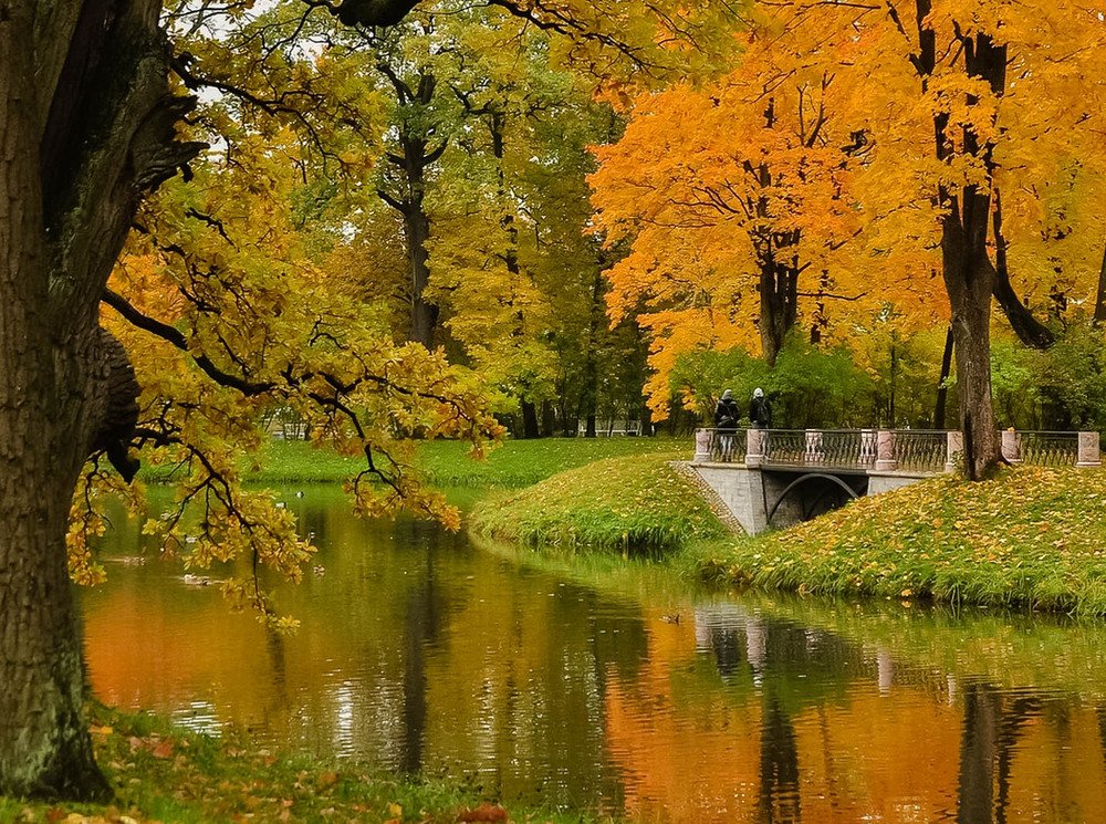 Photograph by Лариса Крышталь