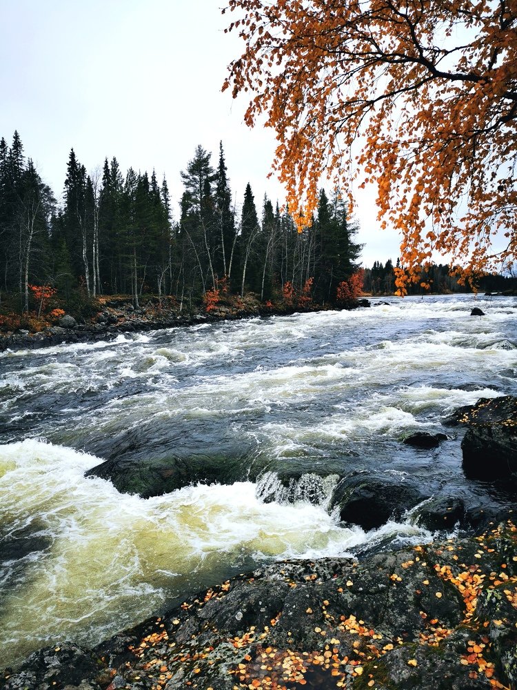 Пороги на реке Умба