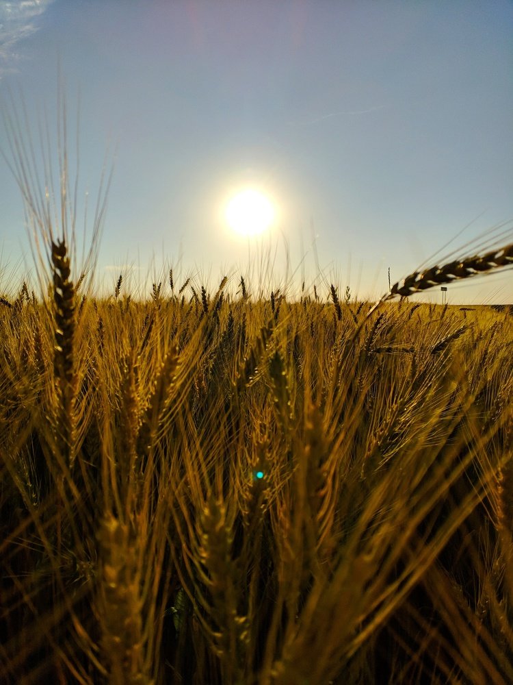 Photograph by Кирилл Ананьев