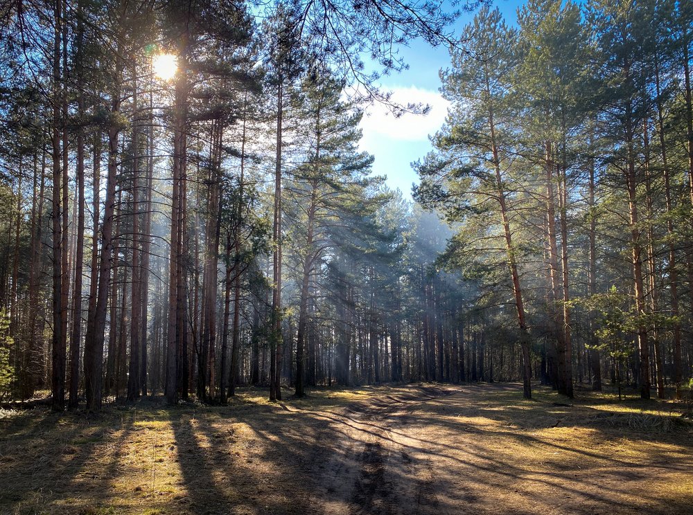 Photograph by Алекс Римский