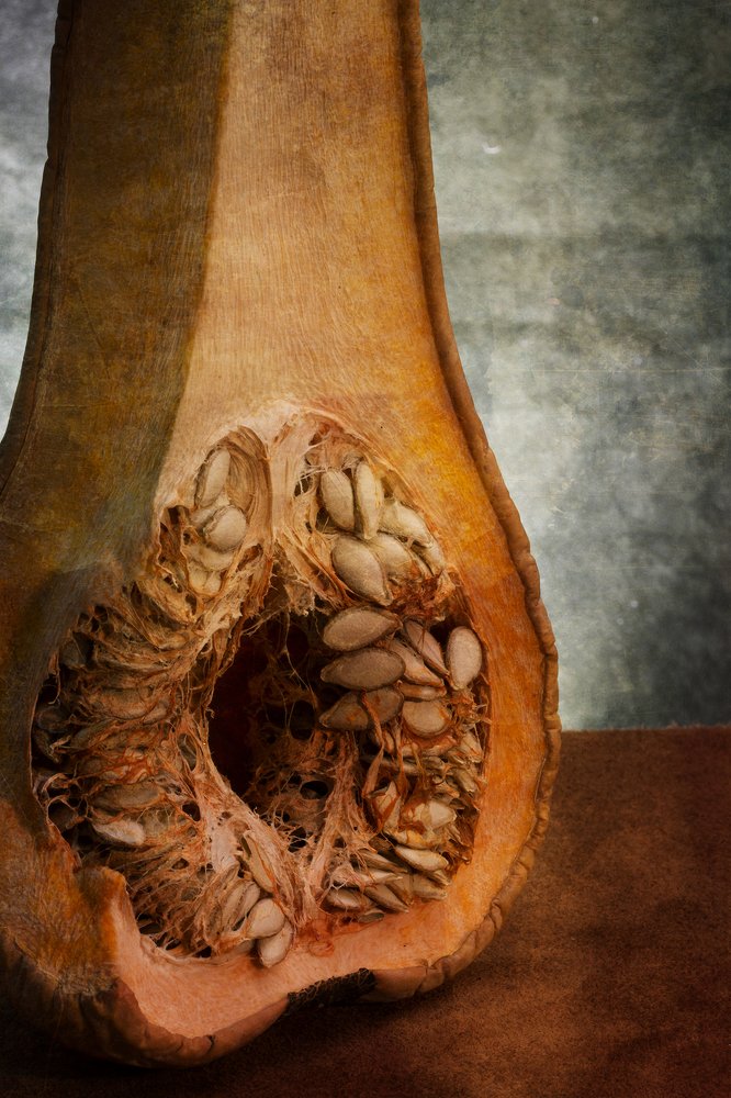 Анатомия тыквы №2