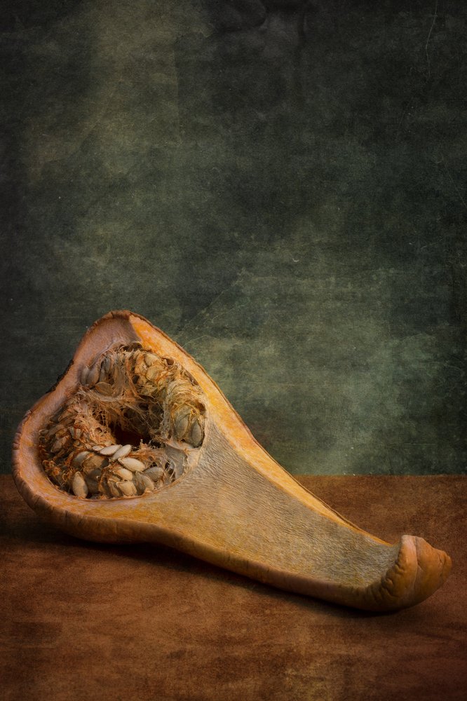 Анатомия тыквы