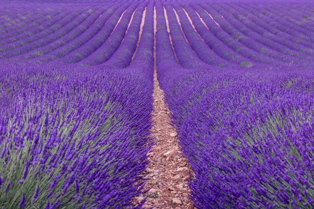 Photograph by Julija Lurina