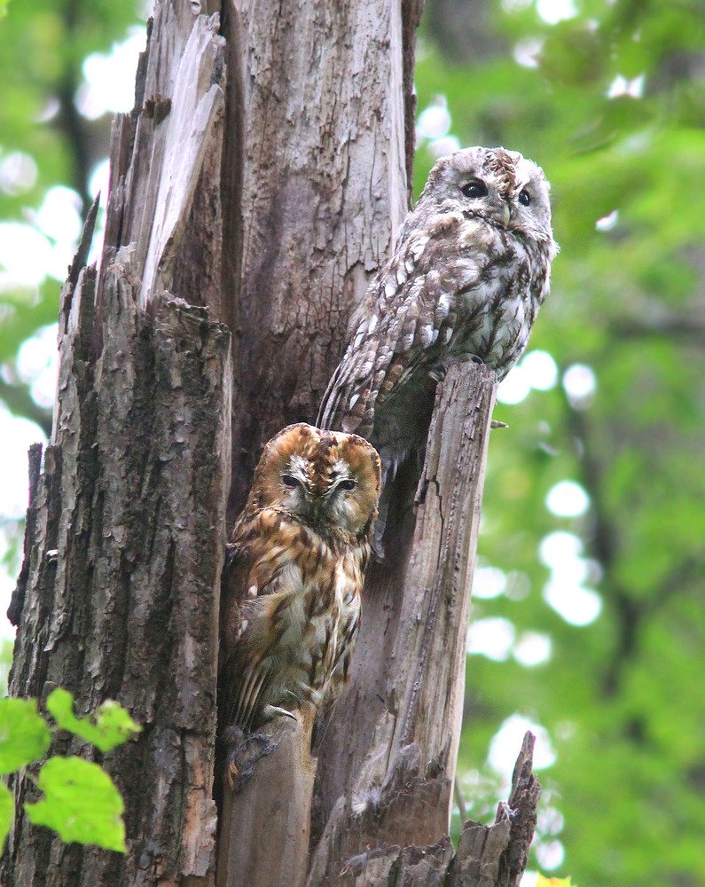 Фотография автора Михаил Крюков