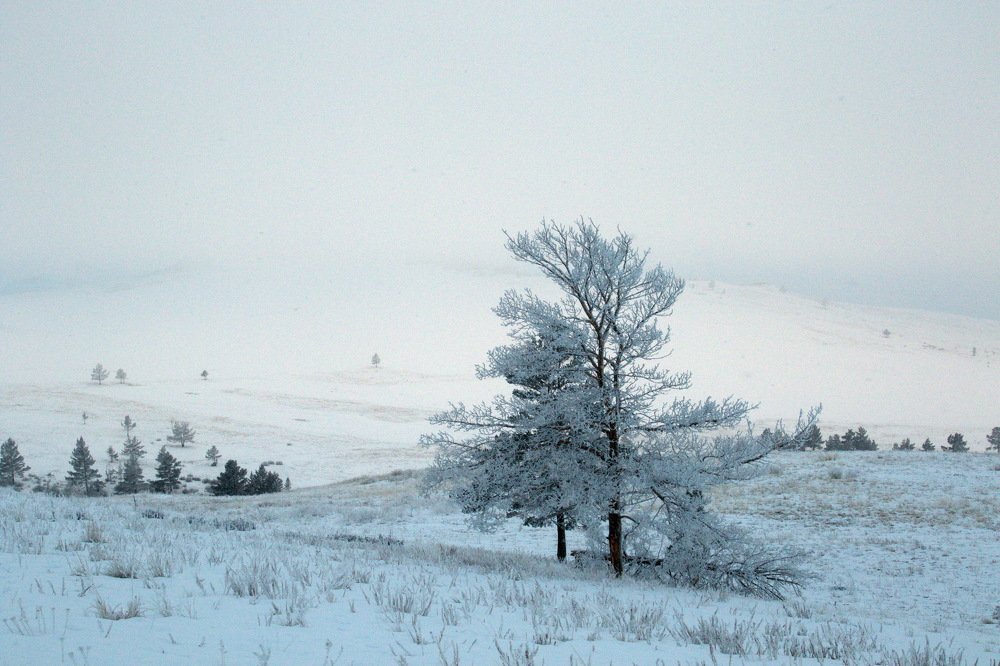 Фотография автора Елена Колосова