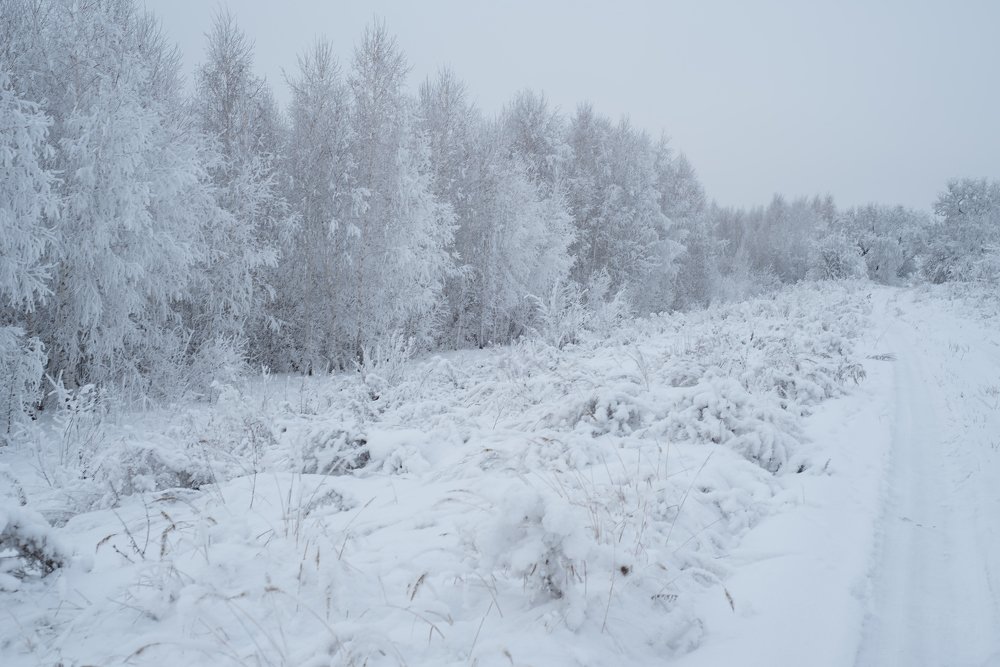 Photograph by Алёна Фефелова