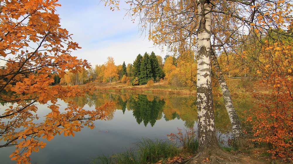 Фотография автора Михаил Крюков