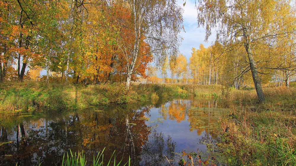 Фотография автора Михаил Крюков