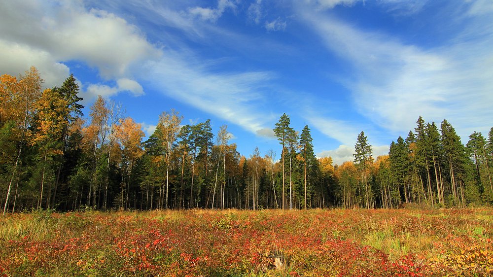Фотография автора Михаил Крюков