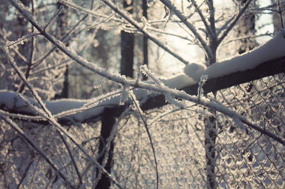 Photograph by Елена Кудейкина