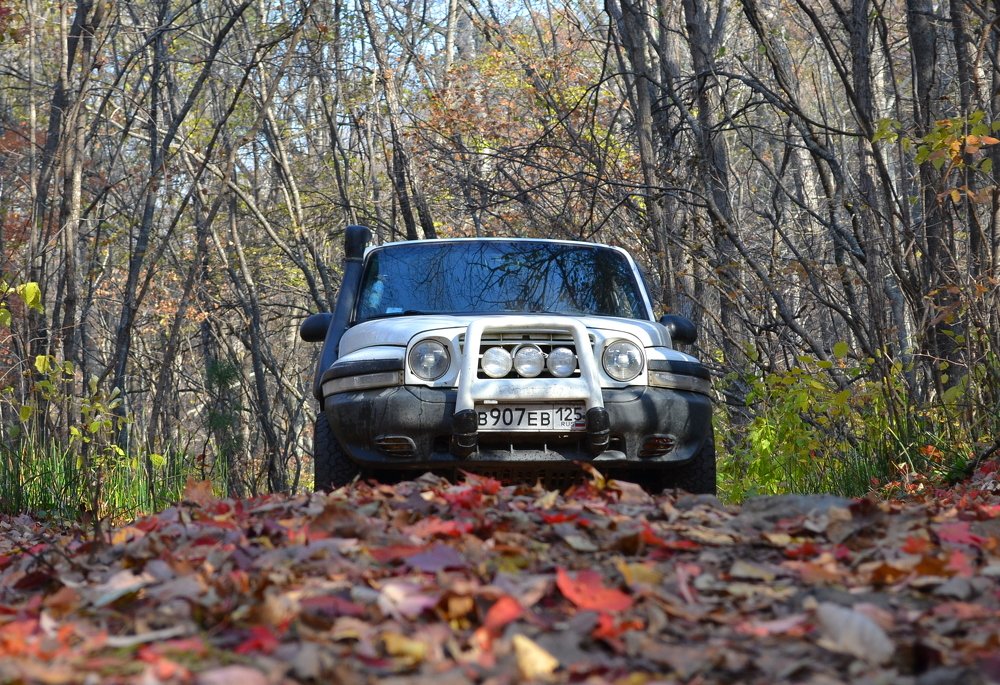 Photograph by Виктор Игнатенко.