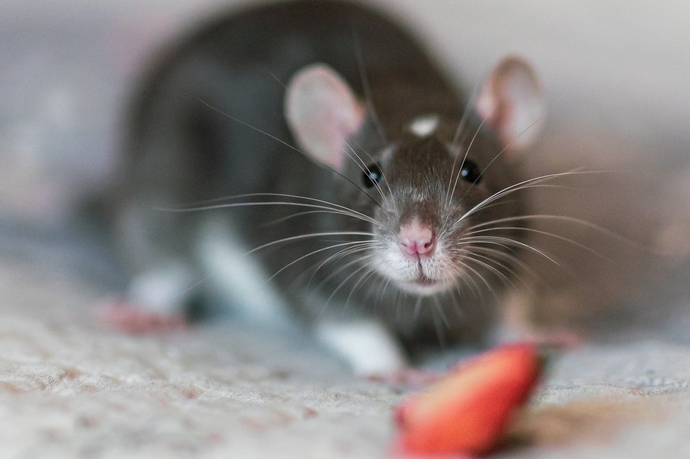 Photograph by Людмила Казак