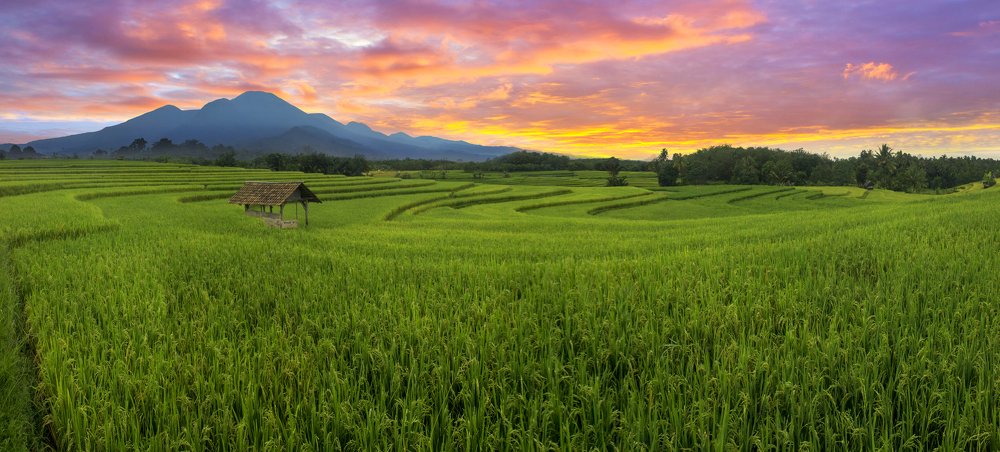 2020 Sunrise Last Month