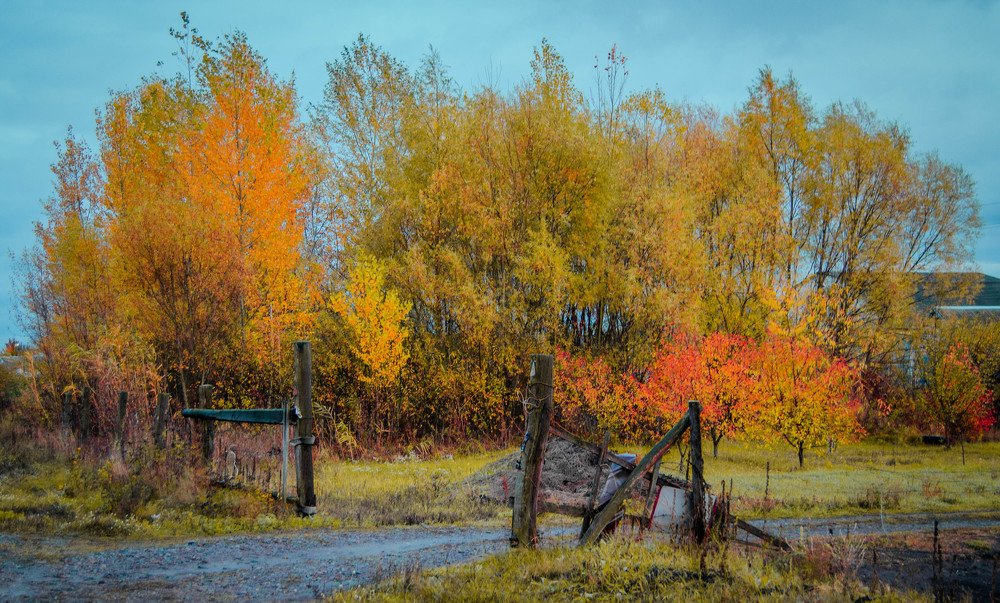 Photograph by Татьяна Куликова