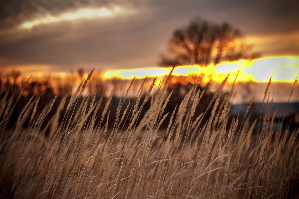 Photograph by Татьяна Куликова