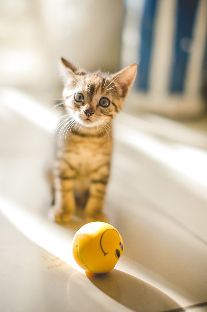 And what should I do with it?