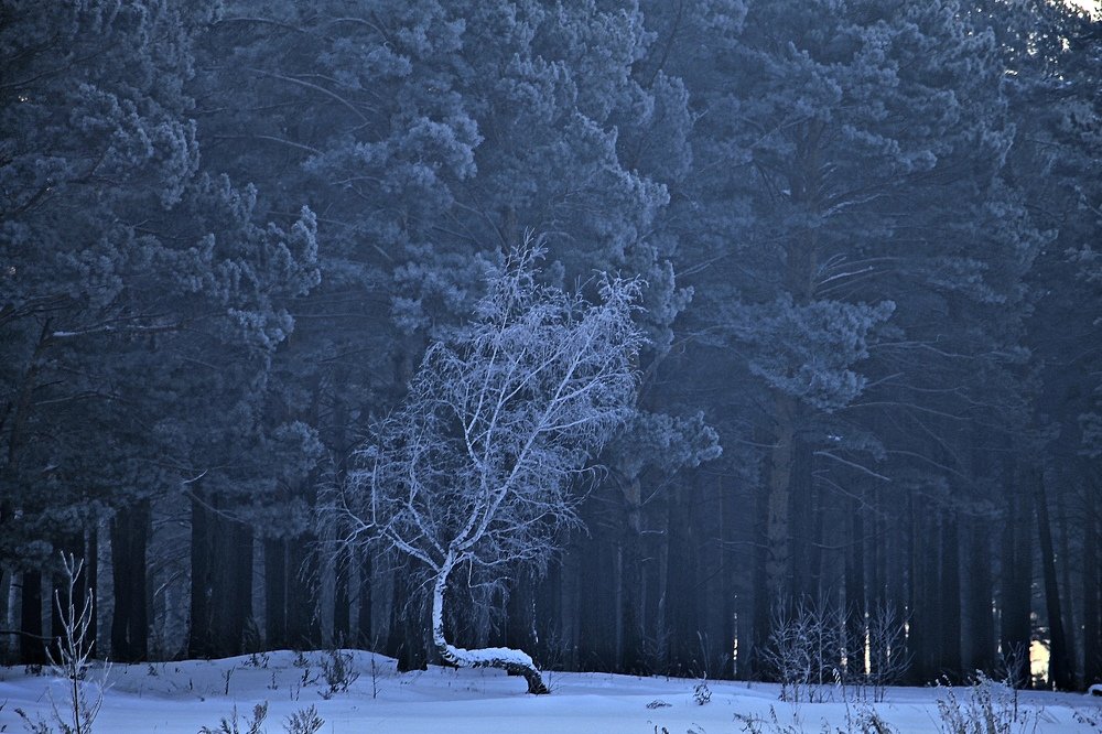 Одиночество.