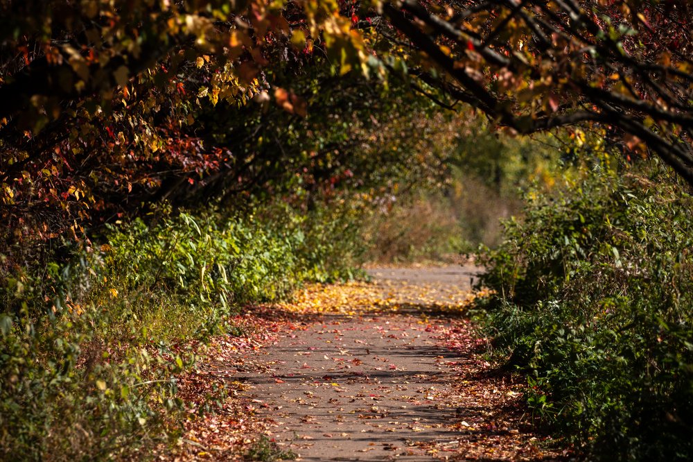 Photograph by Андрей Кульков