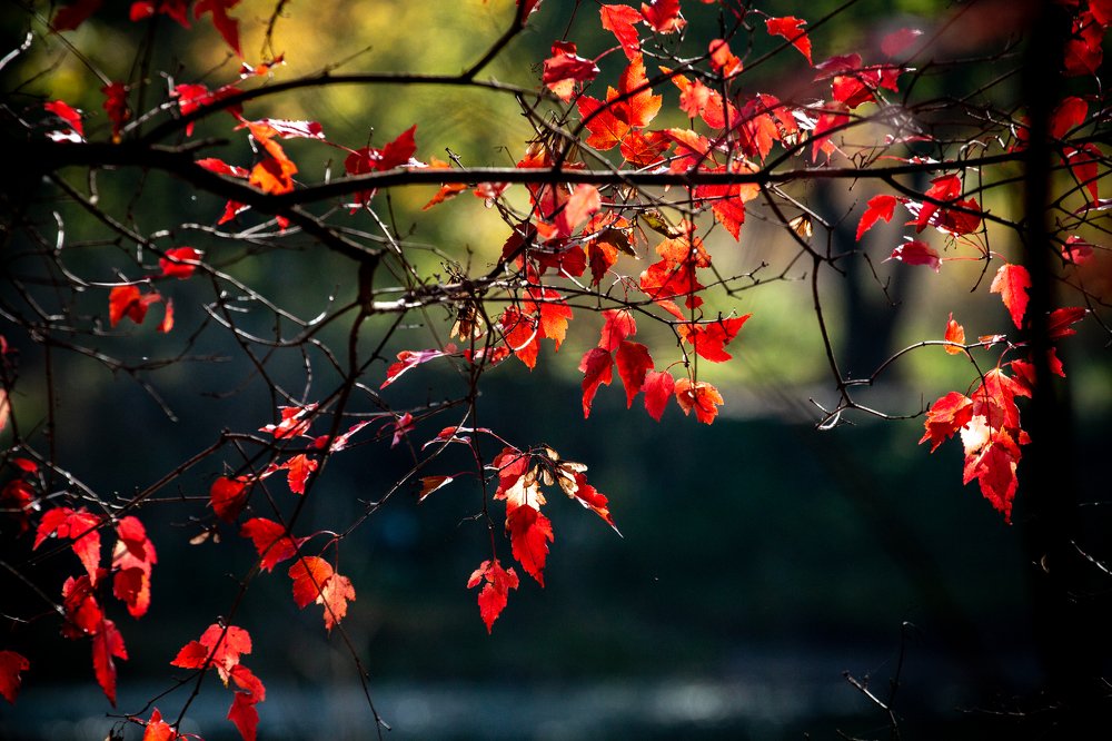 Photograph by Андрей Кульков