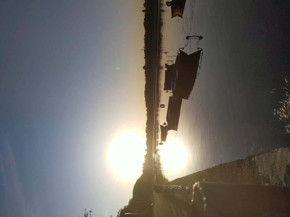 Photo #5343708
