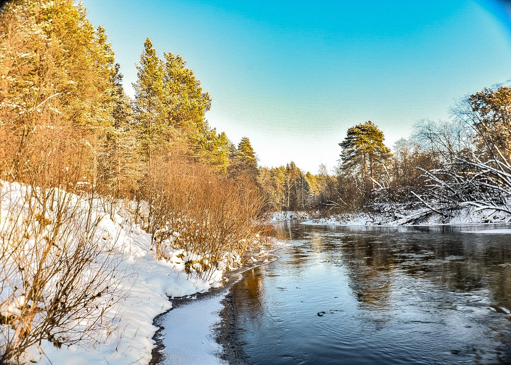 Photograph by Никита Юрин