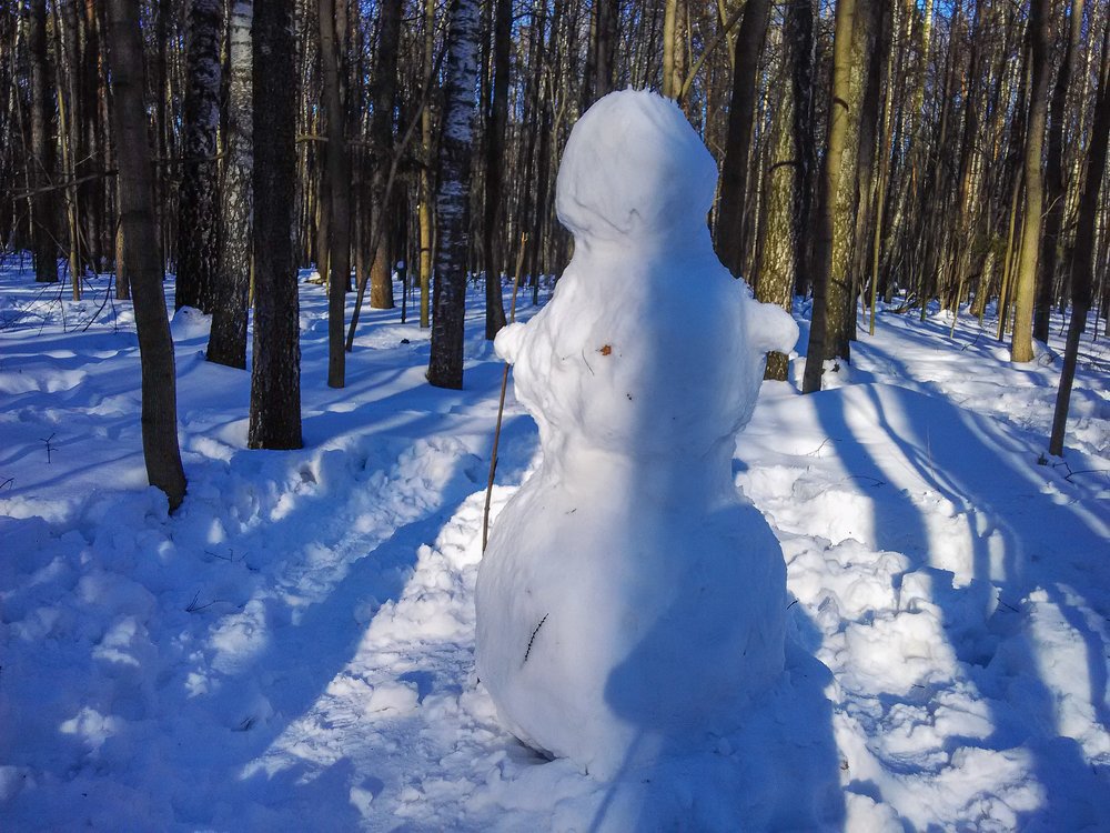 Яжфотограф