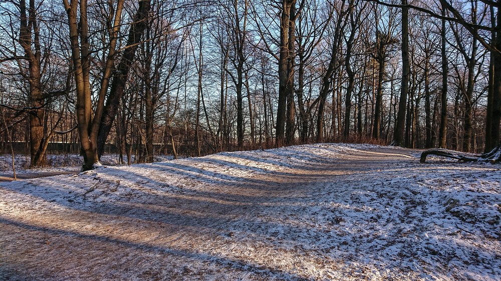 Тени от деревьев как шпалы