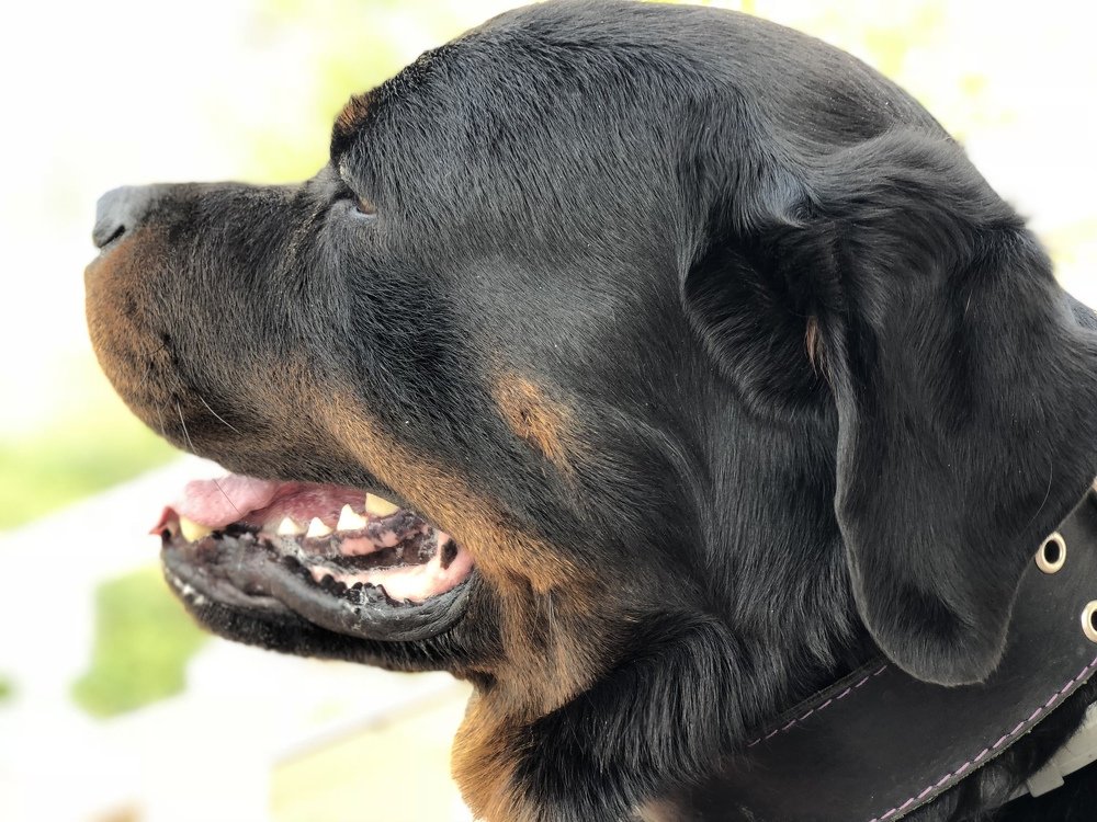 Photograph by Елена Киркицкая