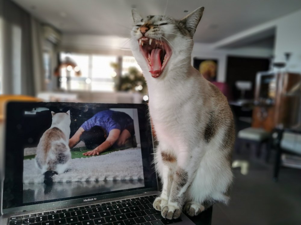 Photograph by Demetrio Jereissati