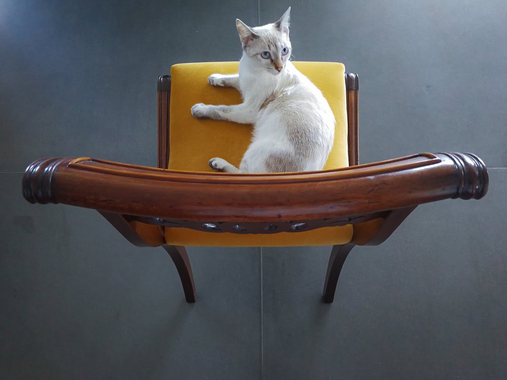 Photograph by Demetrio Jereissati