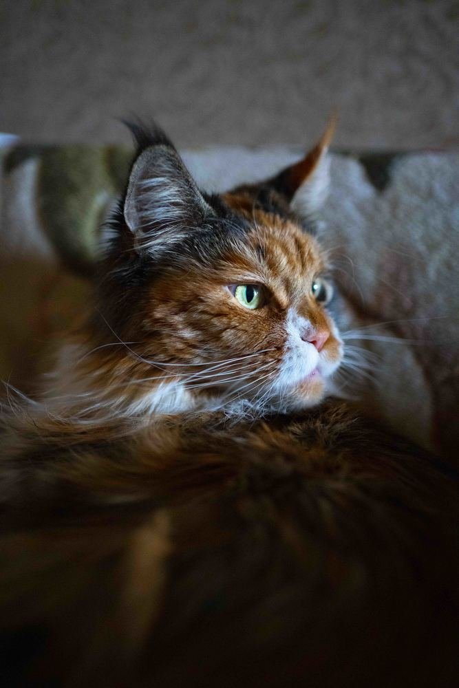 Photograph by Марина Лачинова
