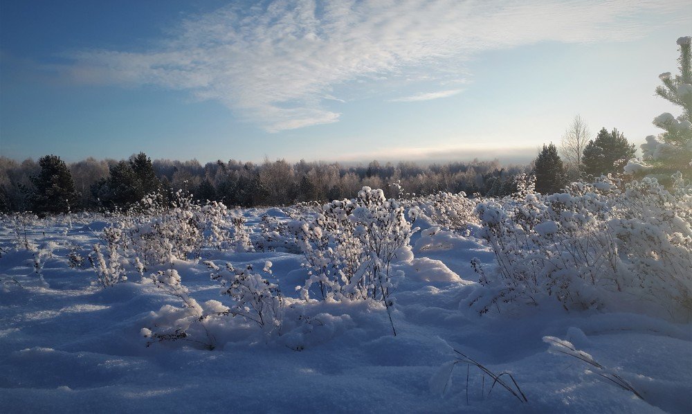 Photograph by Людмила Колеватова