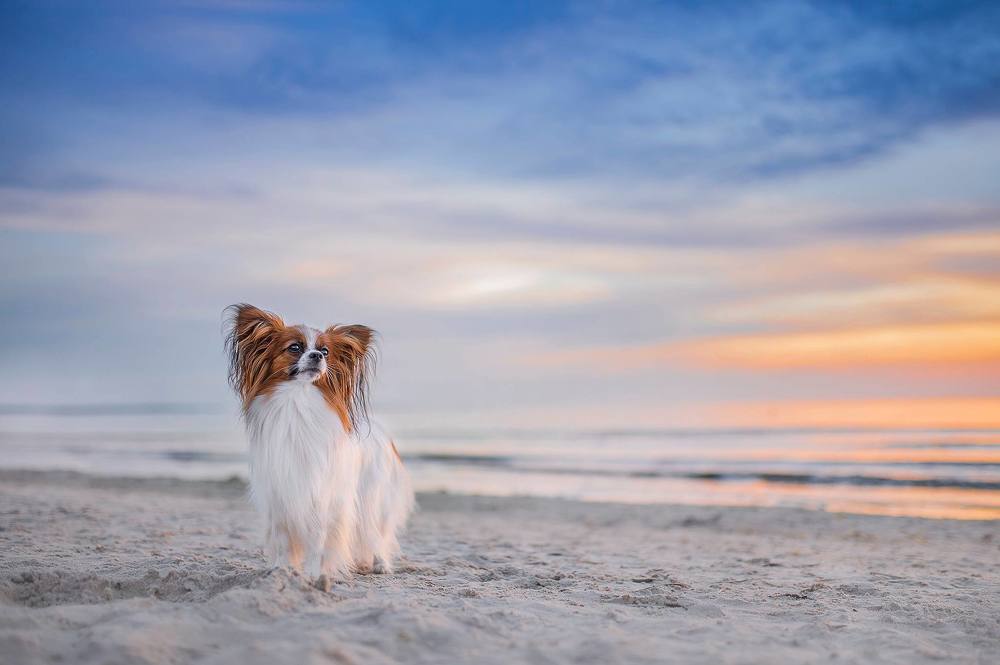 Photograph by Karina Saarestik