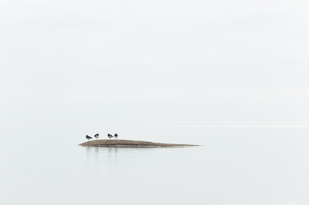 Photograph by Александр Рогатин