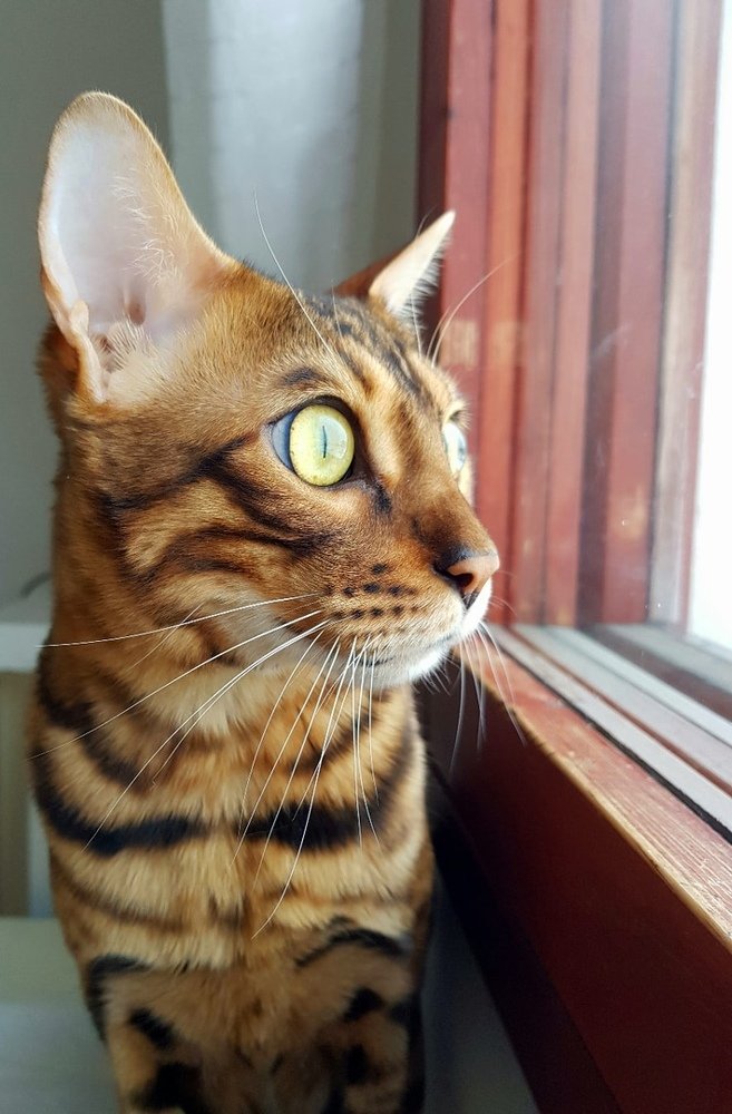 Photograph by Мария