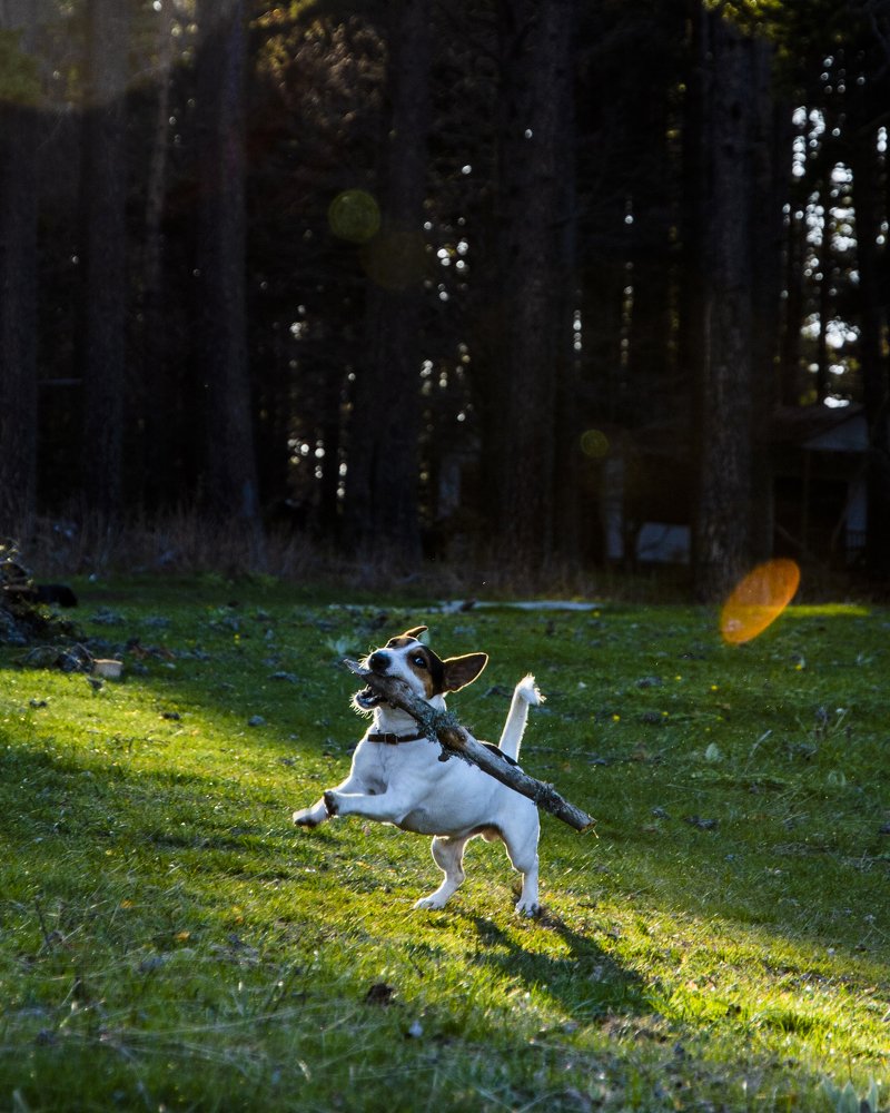 Photograph by  Dimitar