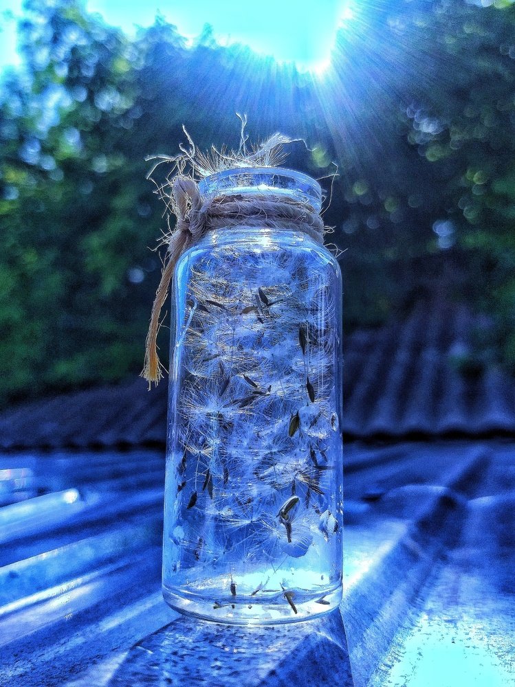 Photograph by Ольга Веселова