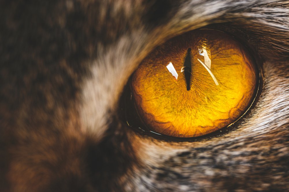 Photograph by Ирина Назарова