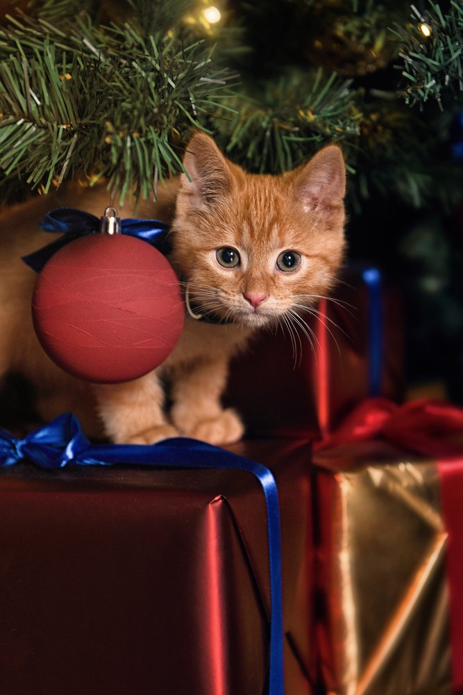 Photograph by Juris Petrovs