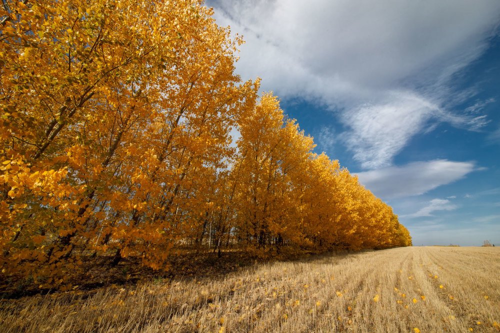 Photograph by Аркадий Саямов