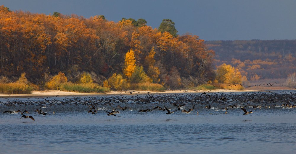 Photograph by Аркадий Саямов