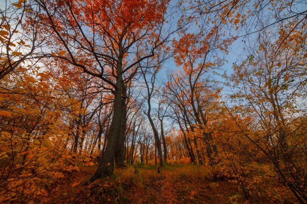 Photograph by Аркадий Саямов