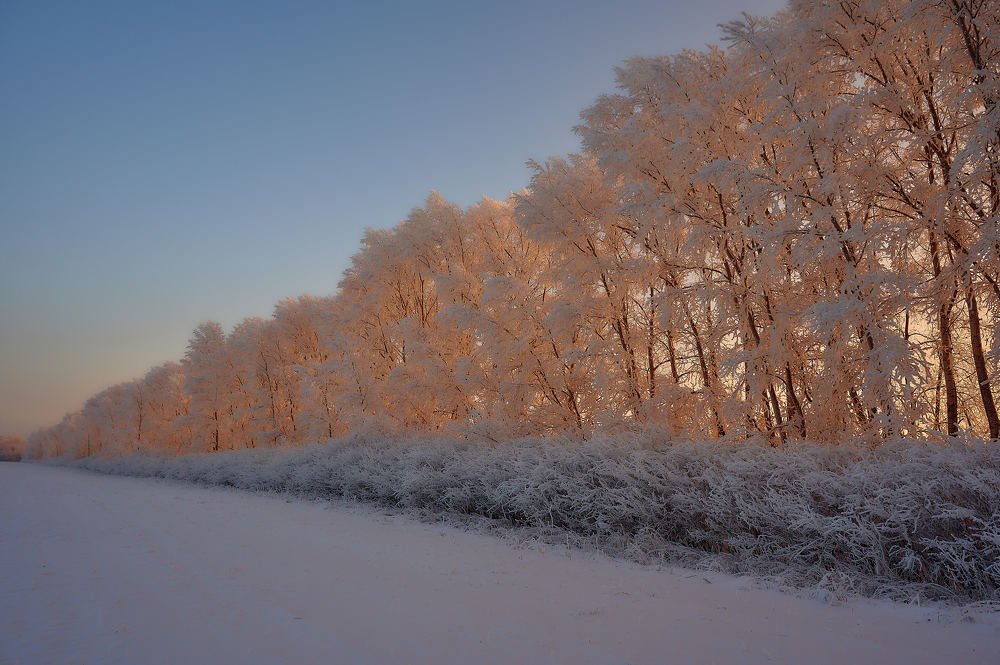 Photograph by Владимир Малевич