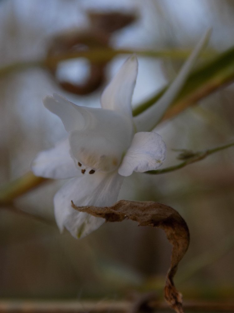 Photograph by Виктория Подрезова
