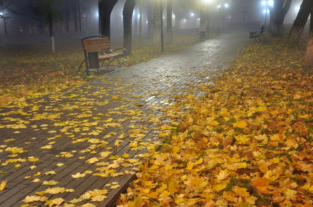 Photograph by Вадим Пакулин