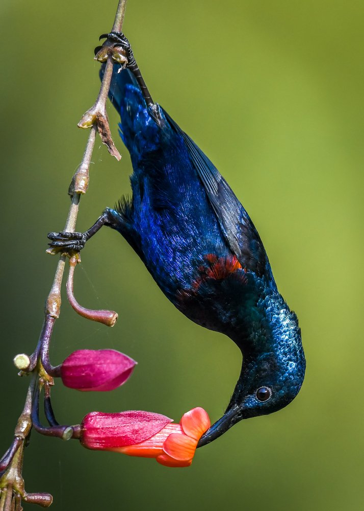 Photograph by Subhra Mandal